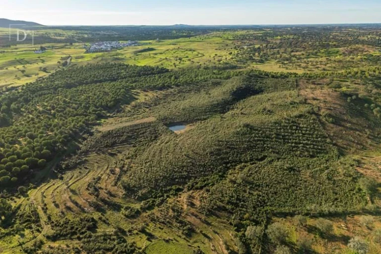 Terreno para Venda em Mertola