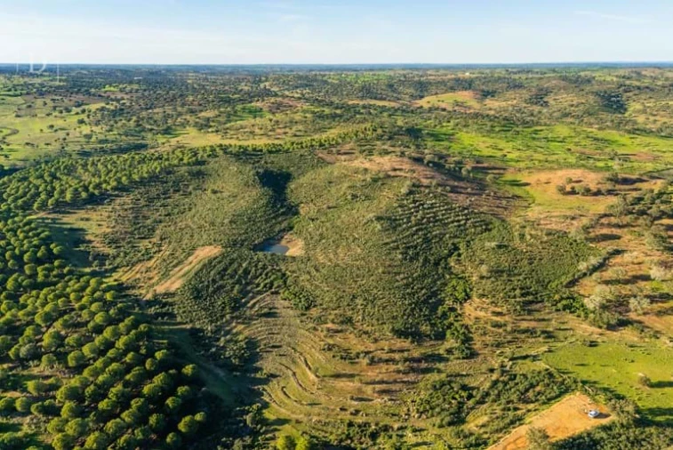 Terreno para Venda em Mertola Foto 5