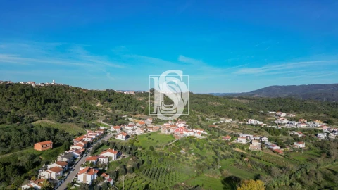 Terreno para Venda em Eiras e São Paulo de Frades