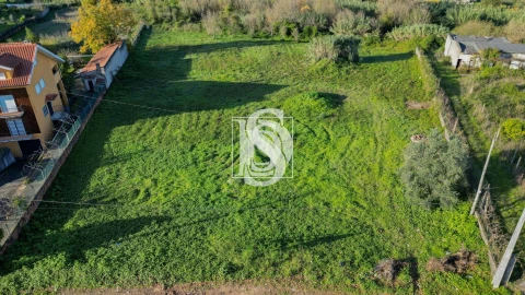 Terreno para Venda em Eiras e São Paulo de Frades