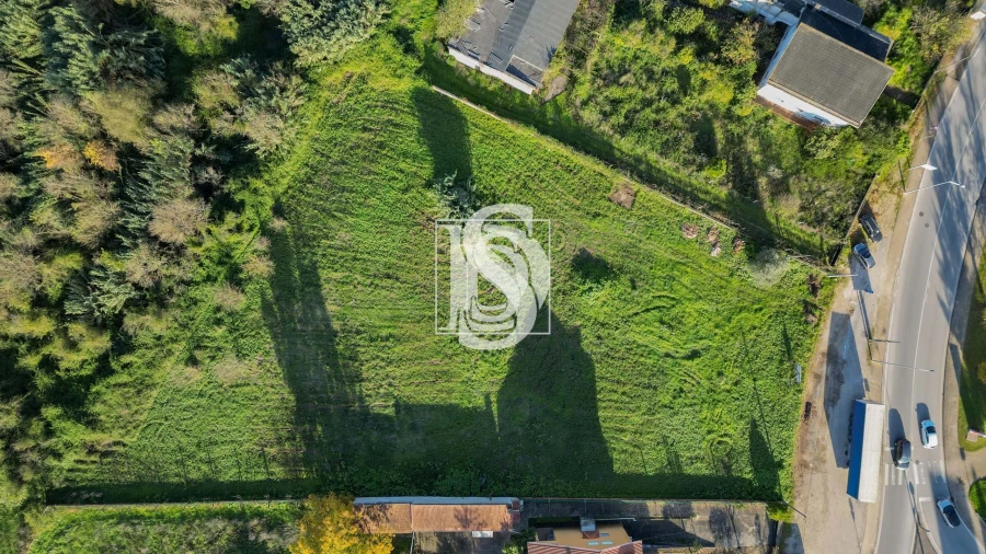 Terreno para Venda em Eiras e São Paulo de Frades Foto 2