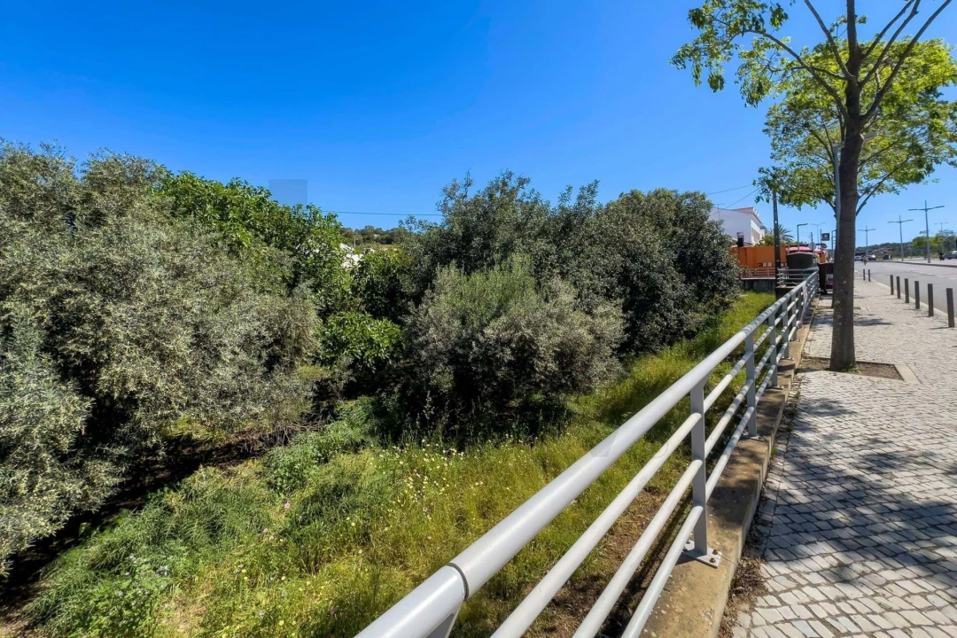 Terreno para Venda em Loule (São Clemente) Foto 20