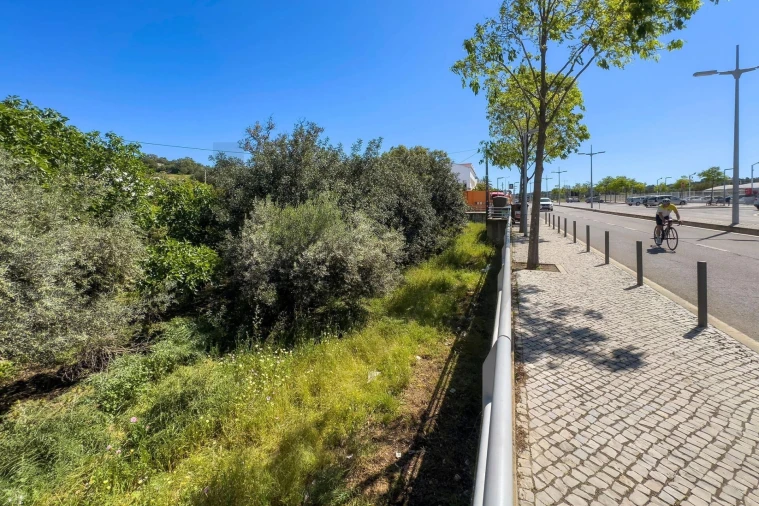 Terreno para Venda em Loule (São Clemente) Foto 22