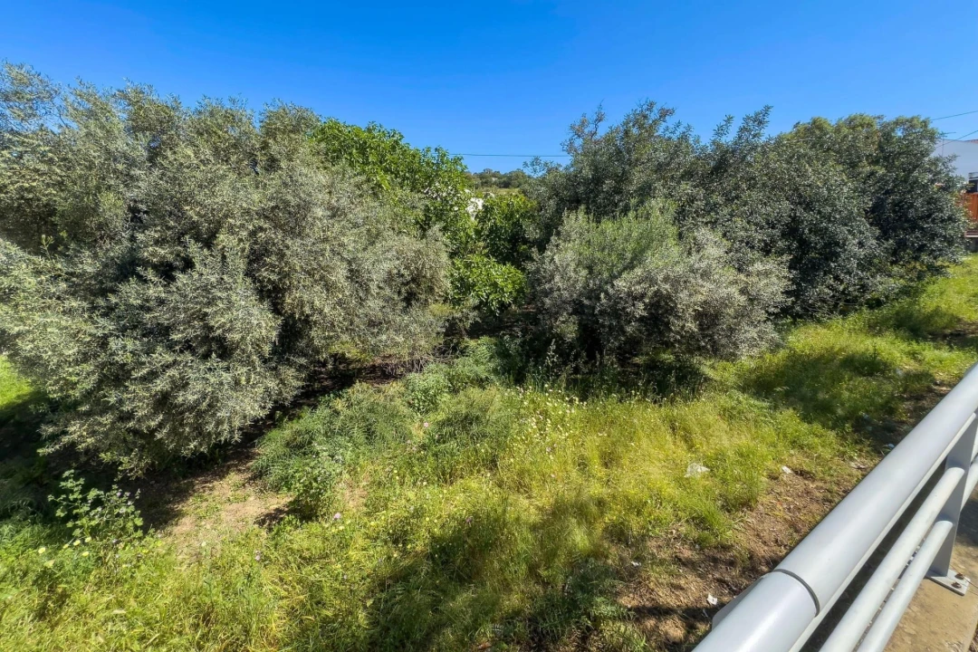 Terreno para Venda em Loule (São Clemente) Foto 21