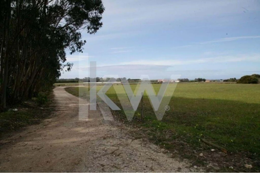 Terreno para Venda em São Teotónio Foto 1