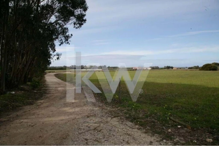 Terreno para Venda em São Teotónio Foto 1
