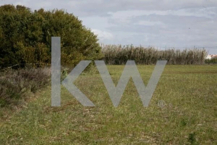 Terreno para Venda em São Teotónio Foto 6