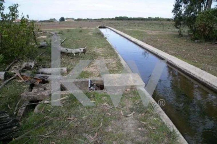 Terreno para Venda em São Teotónio Foto 3