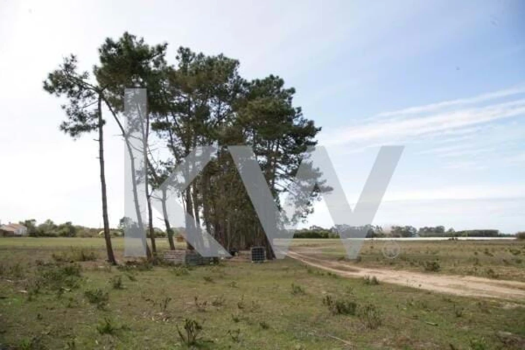 Terreno para Venda em São Teotónio Foto 4