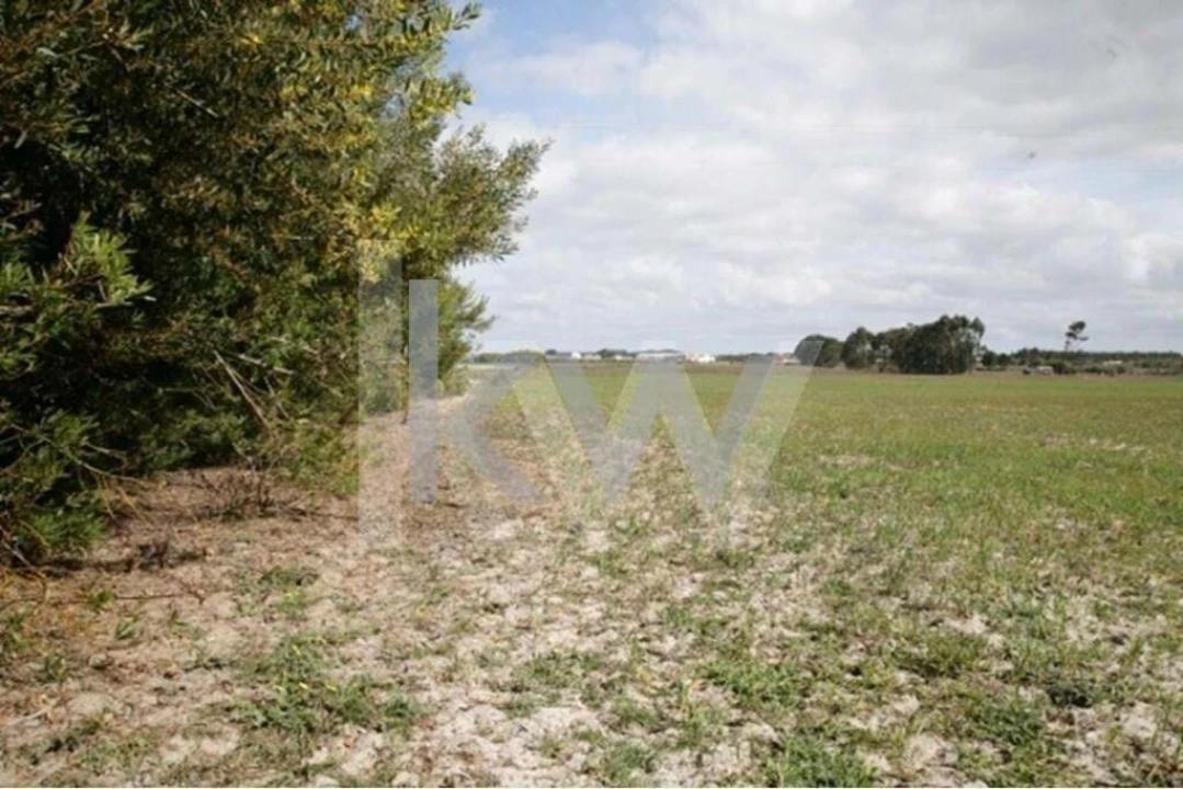 Terreno para Venda em São Teotónio Foto 2