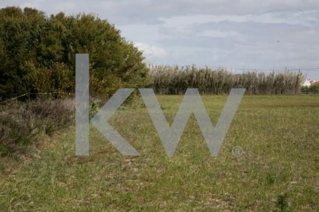 Terreno para Venda em São Teotónio Foto 6