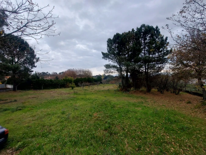 Moradia T0 para Venda em Rio de Loba Foto 2