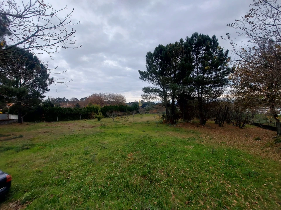 Moradia T0 para Venda em Rio de Loba Foto 2