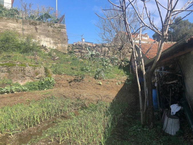 Terreno para Venda em Lordelo Foto 3