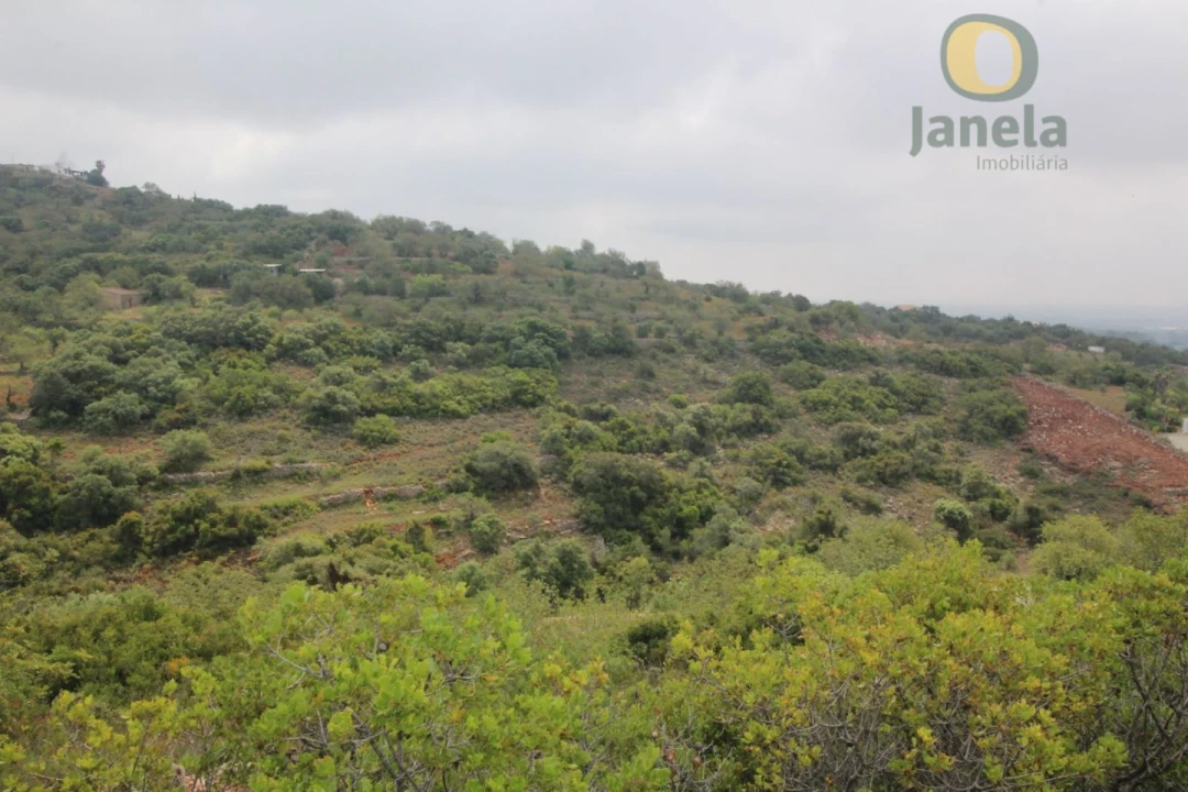 Terreno Agricola ou Rústico para Venda em Conceição e Estoi Foto 1