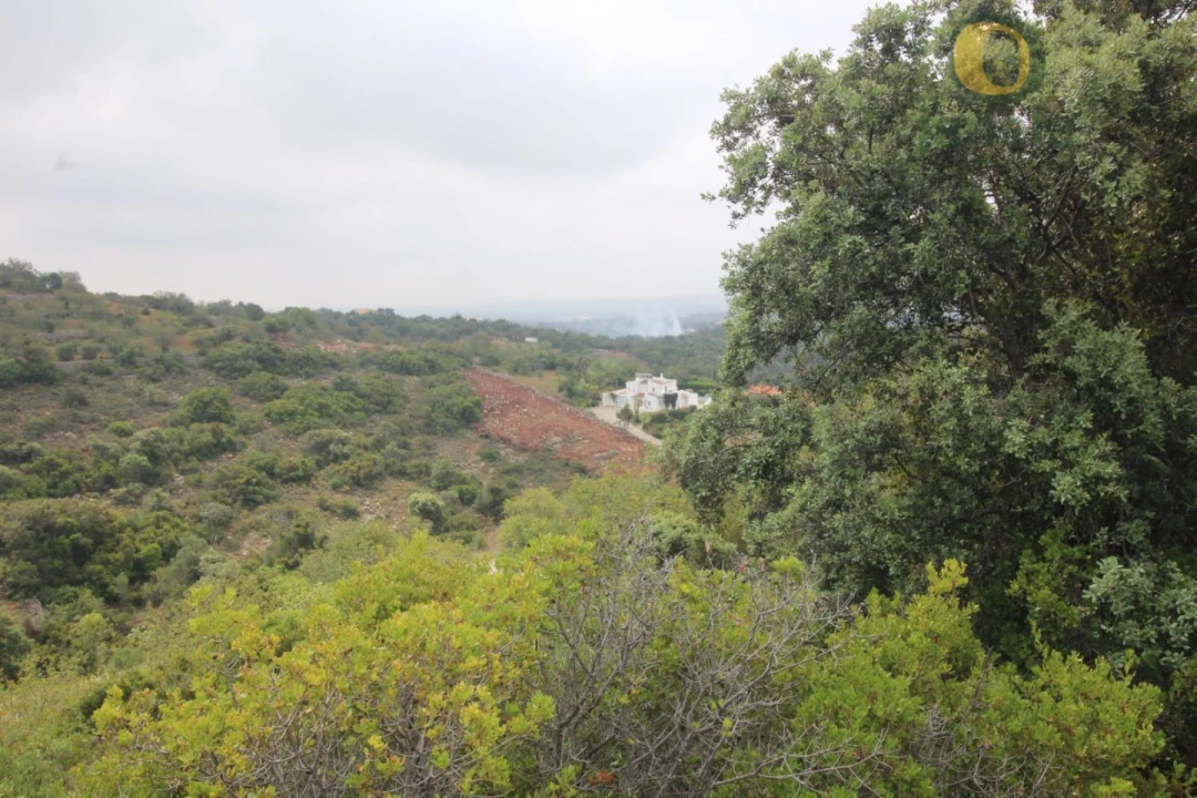 Terreno Agricola ou Rústico para Venda em Conceição e Estoi Foto 2