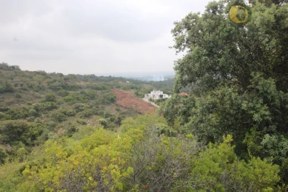 Terreno Agricola ou Rústico para Venda em Conceição e Estoi
