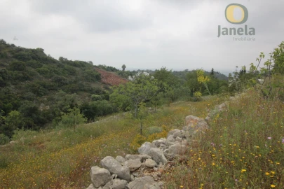 Terreno Agricola ou Rústico para Venda em Conceição e Estoi