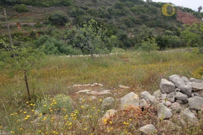 Terreno Agricola ou Rústico para Venda em Conceição e Estoi