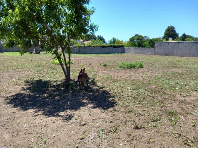 Moradia T7 para Venda em Silvalde Foto 27