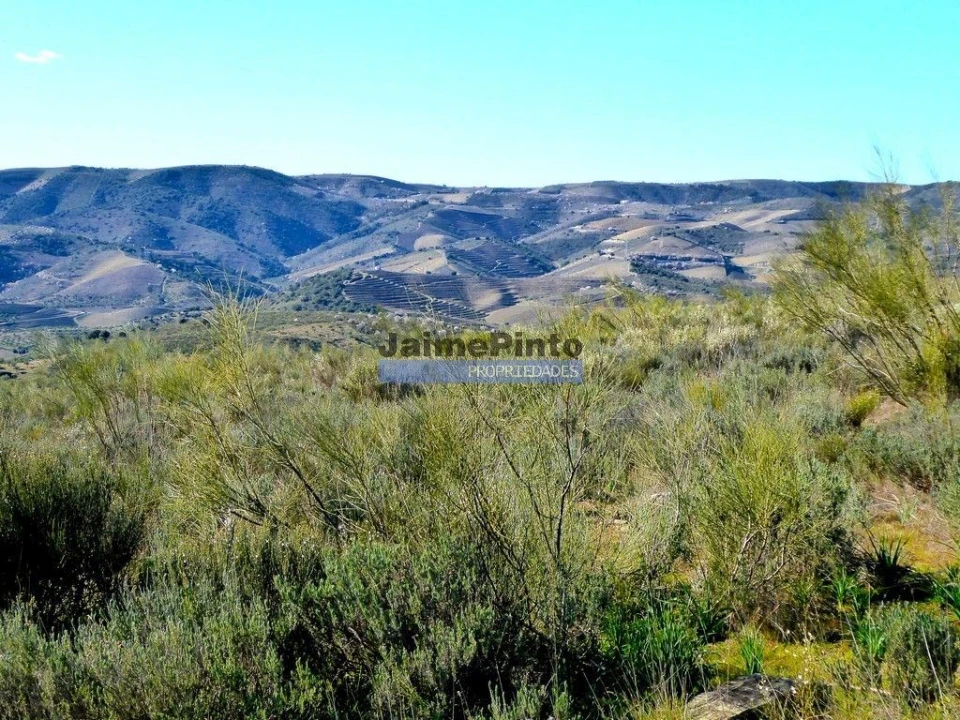 Terreno Agricola ou Rústico para Venda em Vila Nova de Foz Côa Foto 6