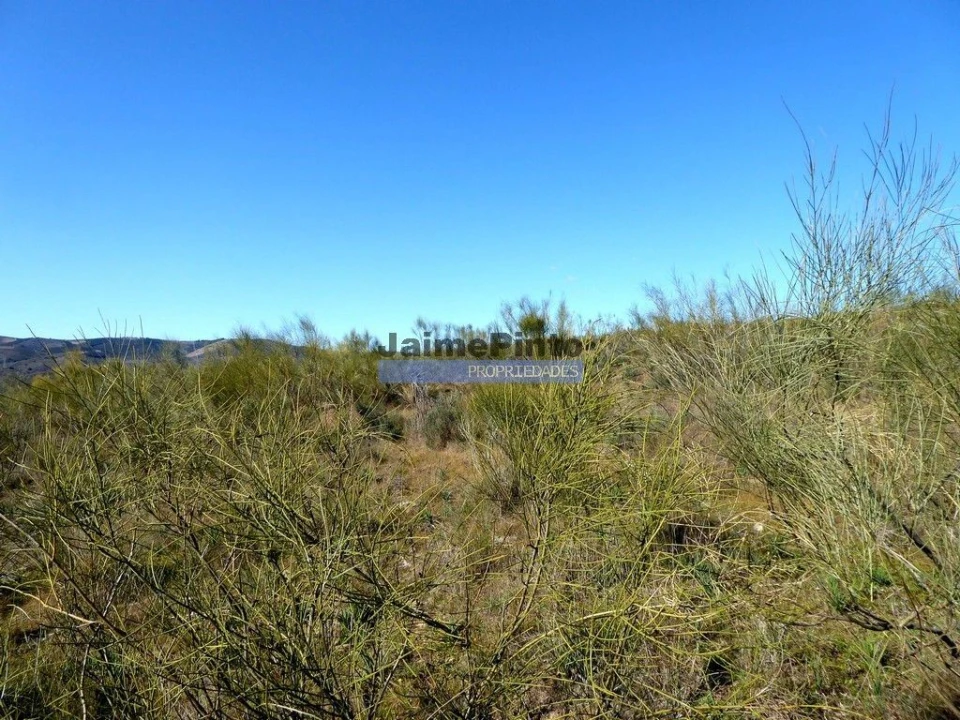 Terreno Agricola ou Rústico para Venda em Vila Nova de Foz Côa Foto 7