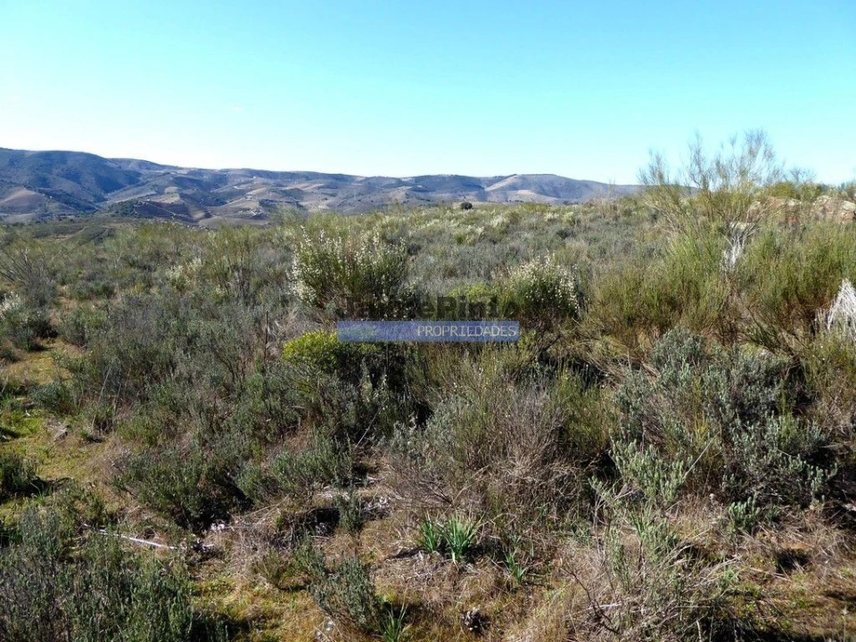 Terreno Agricola ou Rústico para Venda em Vila Nova de Foz Côa Foto 8