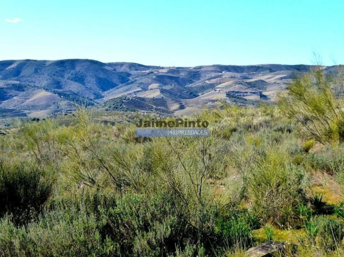 Terreno Agricola ou Rústico para Venda em Vila Nova de Foz Côa Foto 6