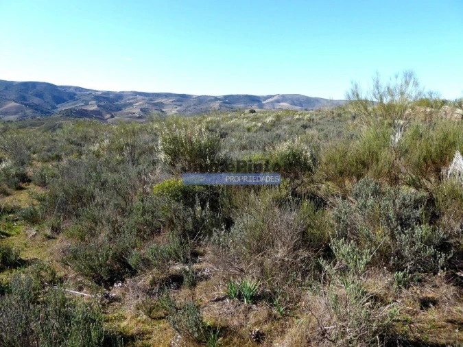 Terreno Agricola ou Rústico para Venda em Vila Nova de Foz Côa Foto 8