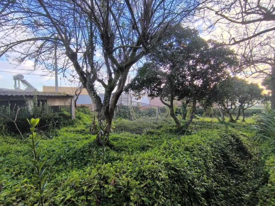 Quinta T4 para Venda em Póvoa de Varzim, Beiriz e Argivai Foto 28