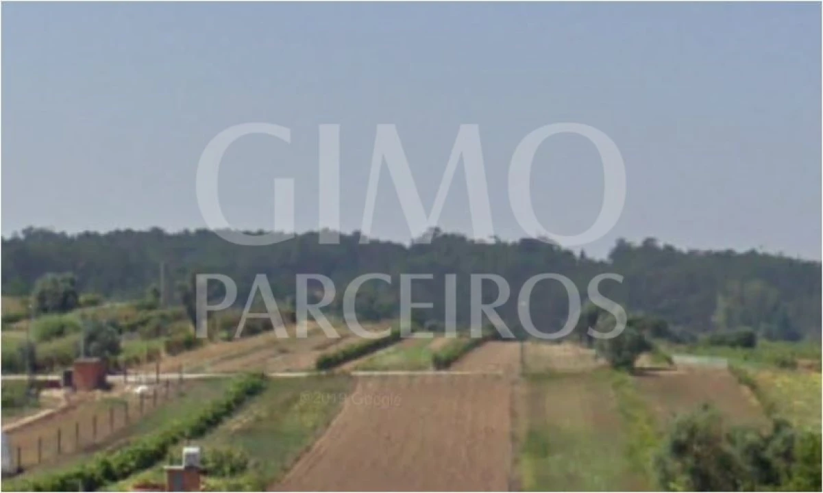 Terreno para Venda em Fermentelos Foto 4