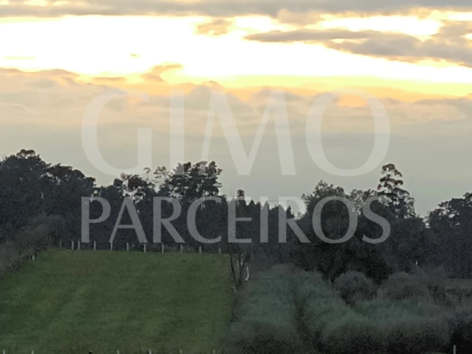 Terreno para Venda em Fermentelos Foto 2