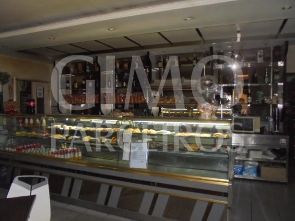 Negócio para Venda em Bustos, Troviscal e Mamarrosa Foto 3