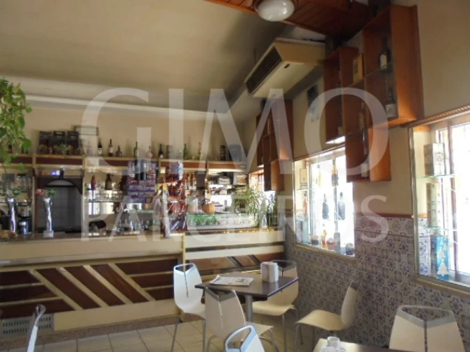 Negócio para Venda em Bustos, Troviscal e Mamarrosa Foto 9