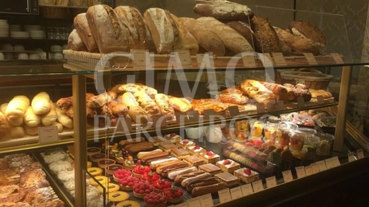 Negócio para Venda em Murtosa Foto 1