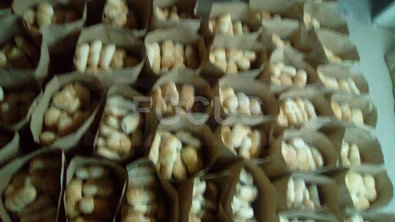 Negócio para Venda em São João da Madeira Foto 9