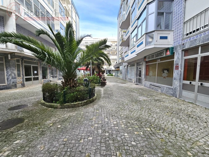 Loja para Venda em Nossa Senhora do Pópulo, Coto e São Gregório Foto 17