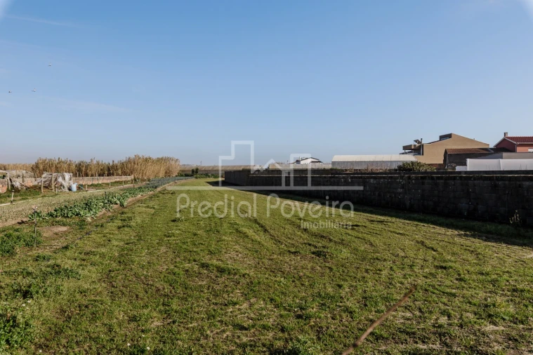 Moradia para Venda em Aguçadoura e Navais Foto 15