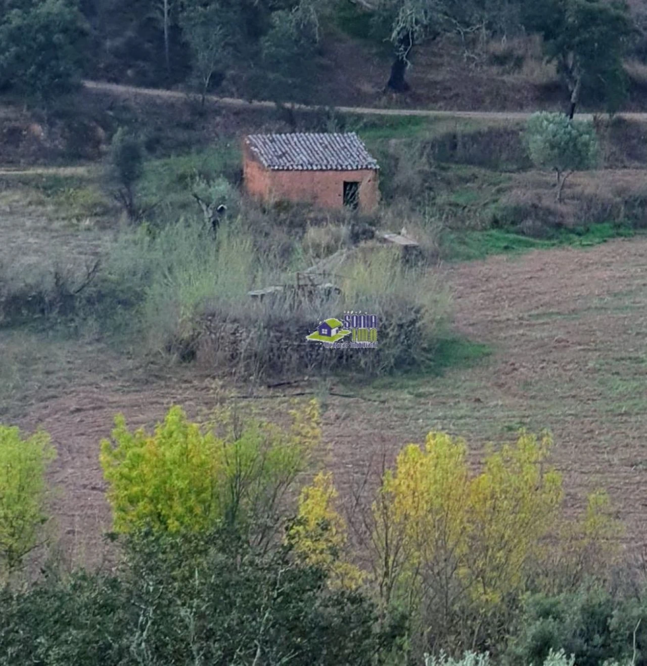 Moradia para Venda em São Bartolomeu de Messines Foto 11