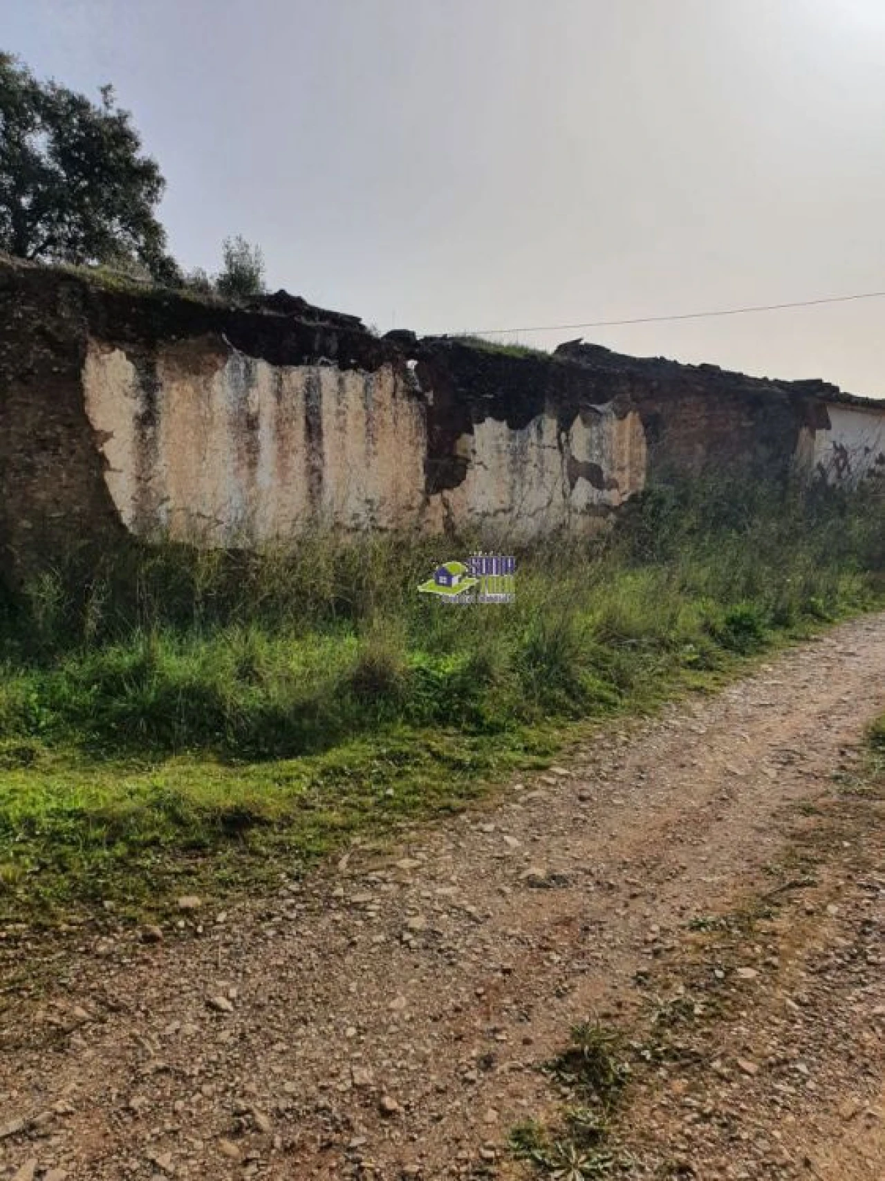 Moradia para Venda em São Bartolomeu de Messines Foto 4