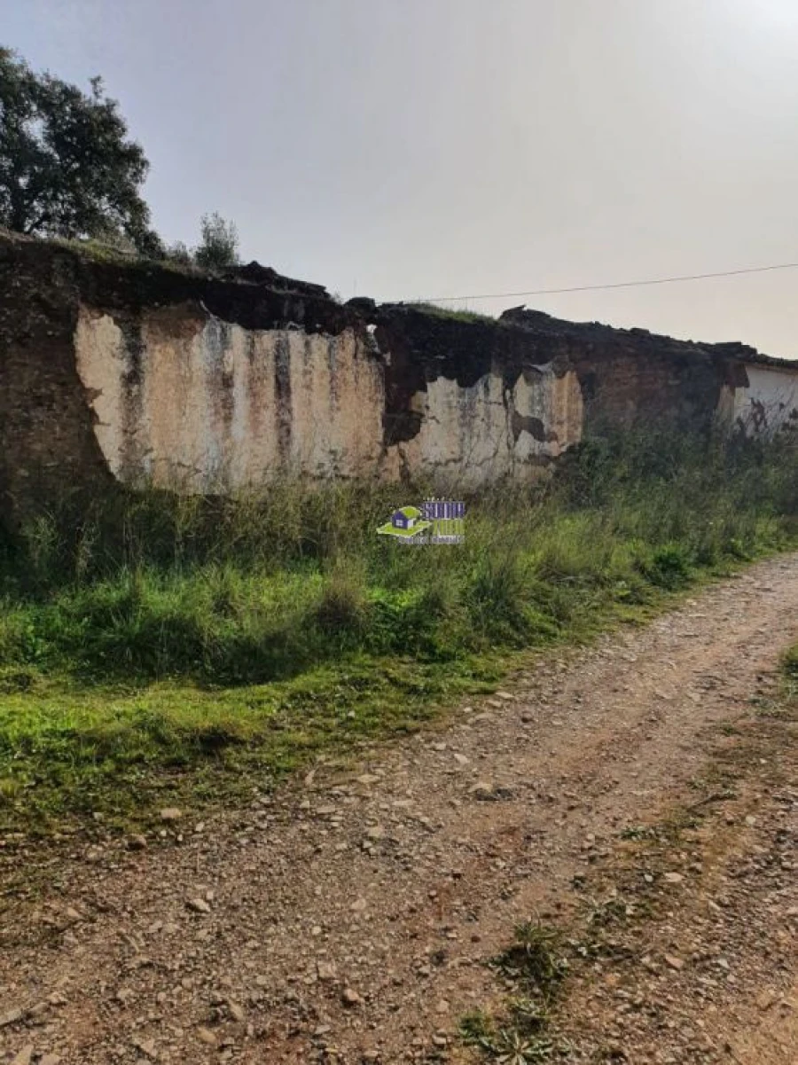 Moradia para Venda em São Bartolomeu de Messines Foto 4