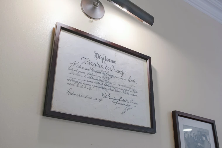 Moradia T3 para Venda em Gafete Foto 13