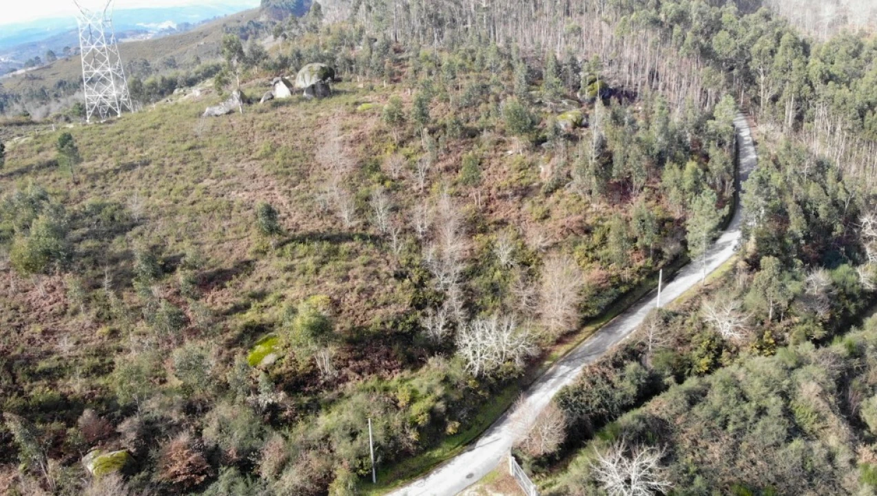 Terreno para Venda em Anissó e Soutelo Foto 2