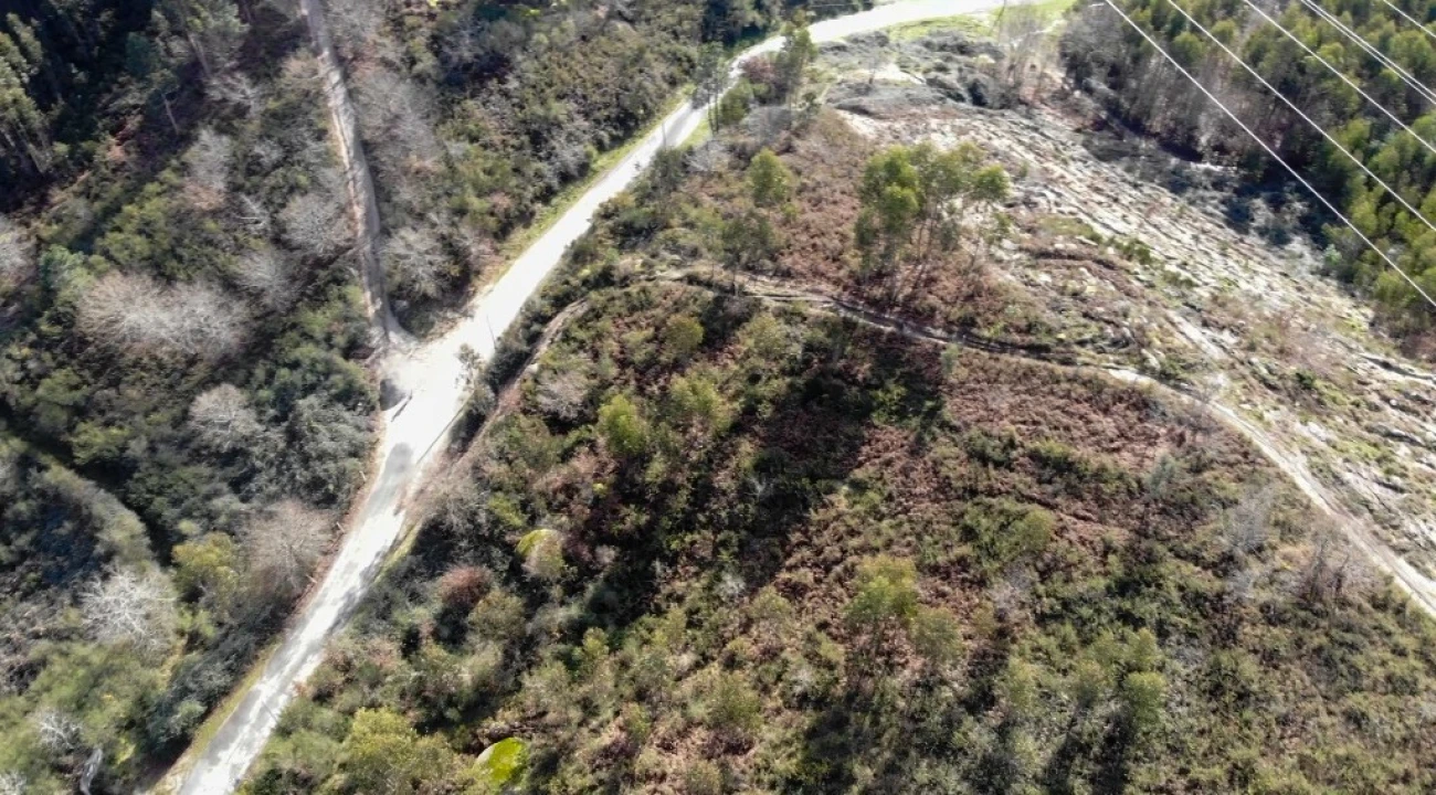Terreno para Venda em Anissó e Soutelo Foto 6