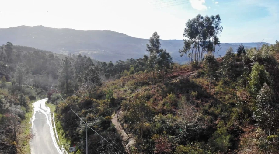 Terreno para Venda em Anissó e Soutelo Foto 8
