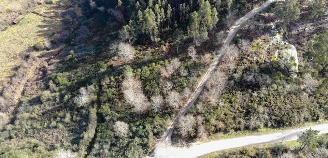 Terreno para Venda em Anissó e Soutelo Foto 4