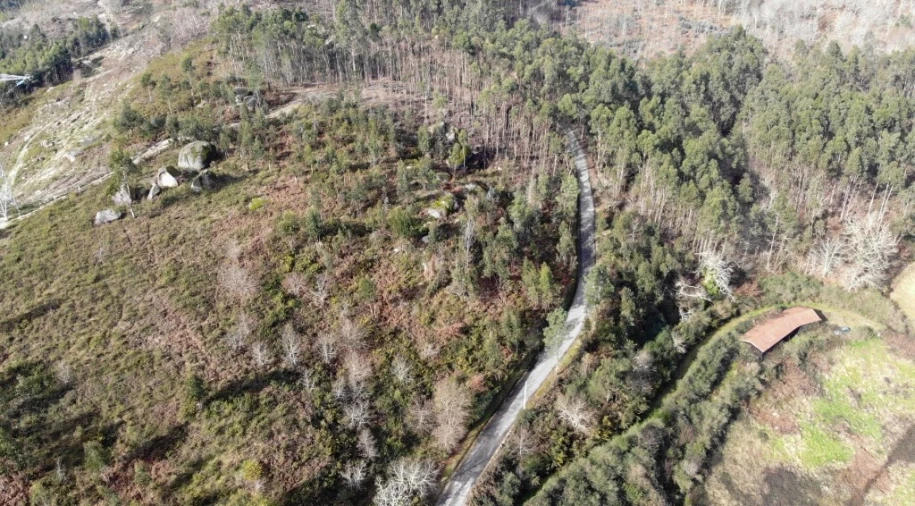 Terreno para Venda em Anissó e Soutelo Foto 7