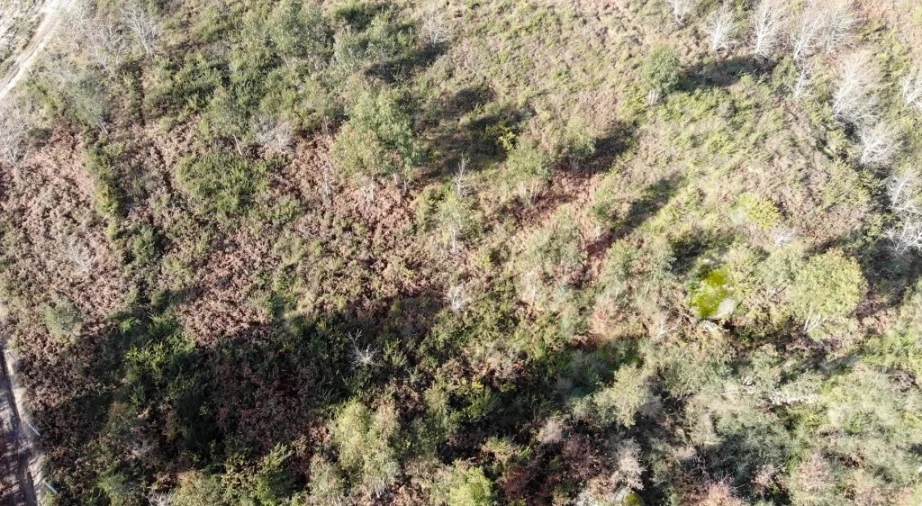 Terreno para Venda em Anissó e Soutelo Foto 3