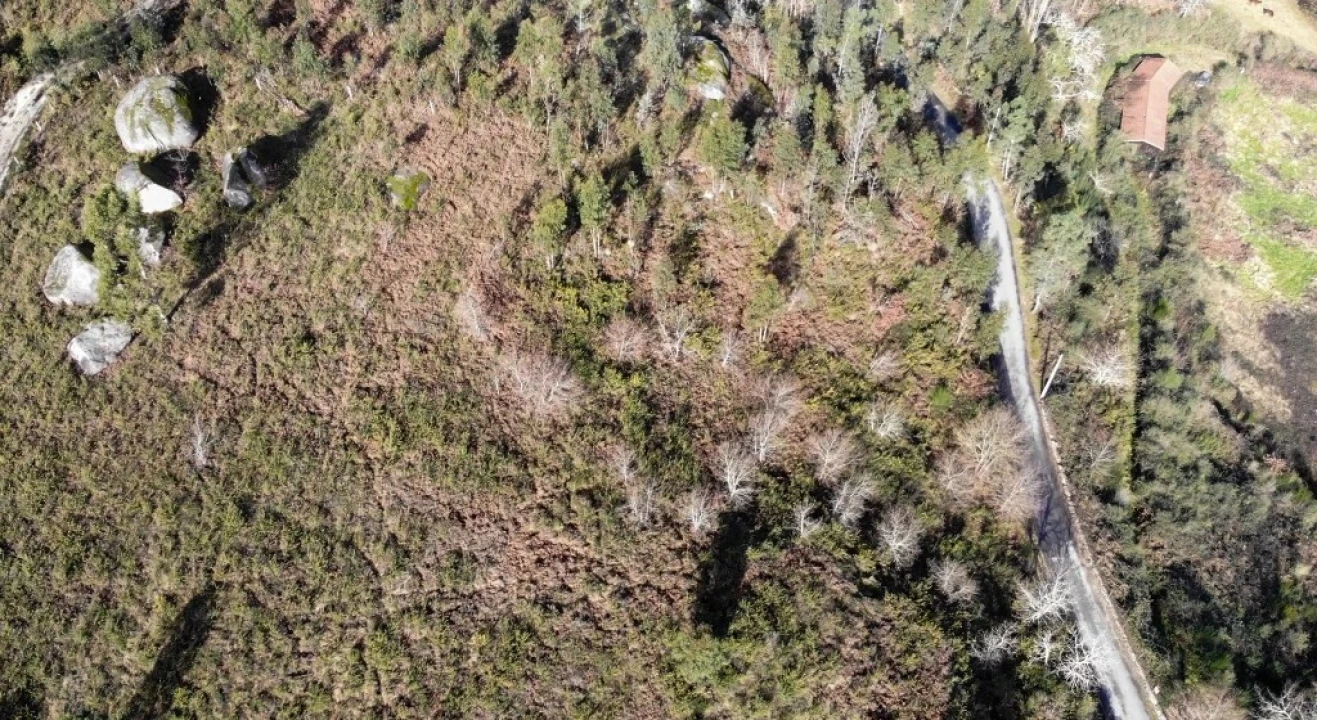 Terreno para Venda em Anissó e Soutelo Foto 5
