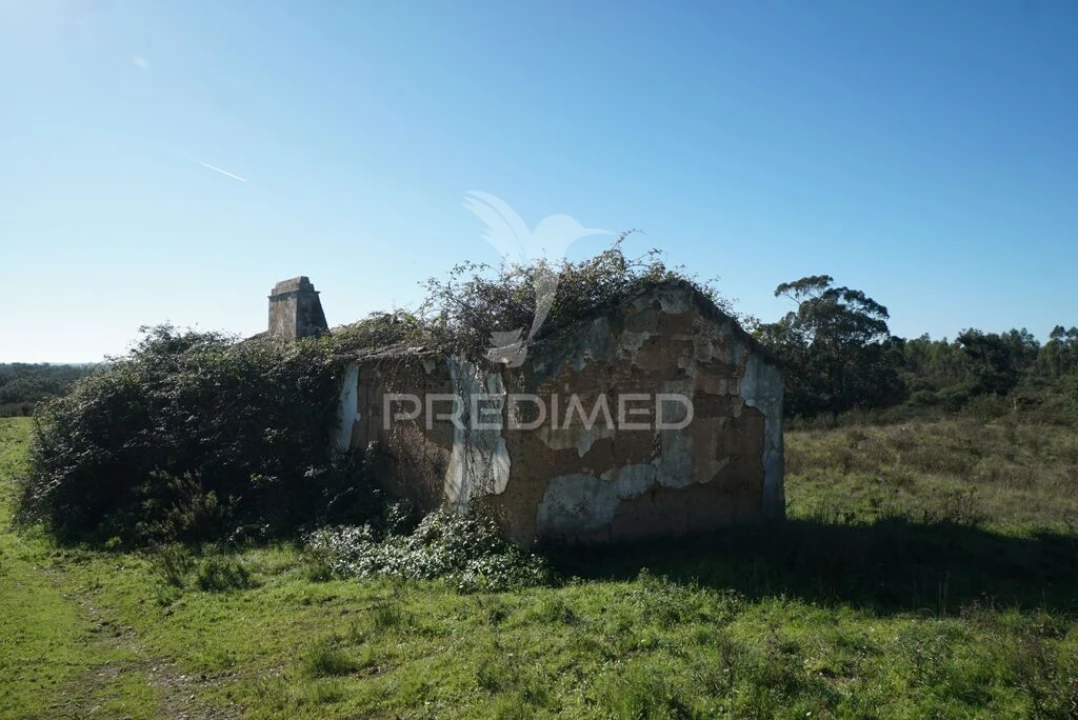 Quinta para Venda em São Francisco da Serra Foto 14
